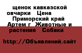щенок кавказской овчарки › Цена ­ 3 000 - Приморский край, Артем г. Животные и растения » Собаки   